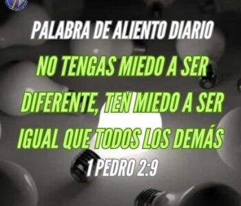 Sin título